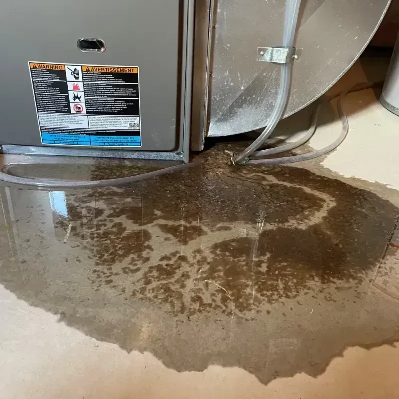 Appliance Leak Cleanup in Milton, MA